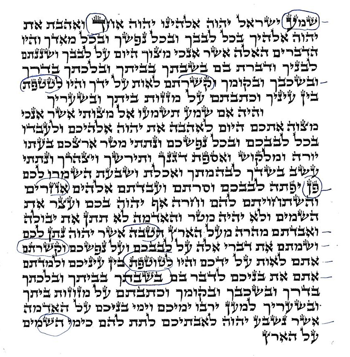 מאמר מקיף בעניין עשיית התגים לסתם