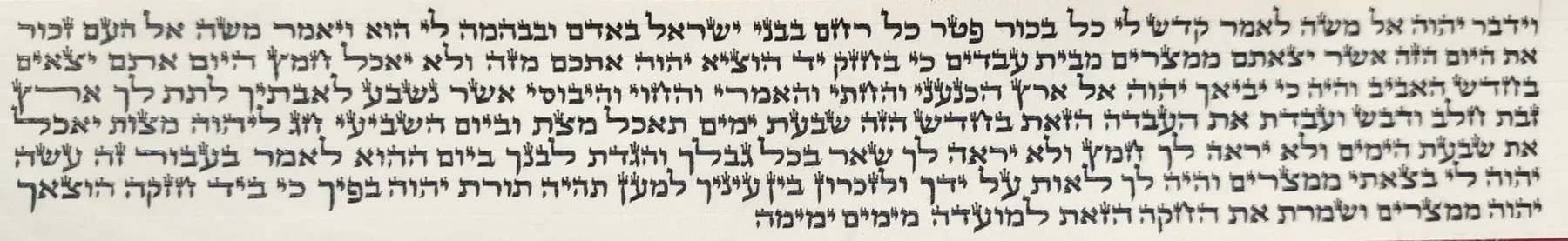 פרשיות תפילין בכתב תלמיד המכון